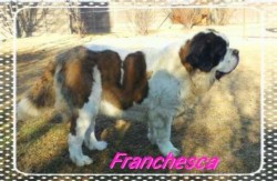 Franchesca